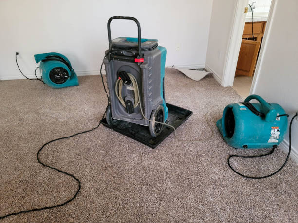 Best Water damage restoration services  in Beresford, SD