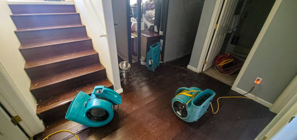 Best Water damage contractors near me  in Beresford, SD