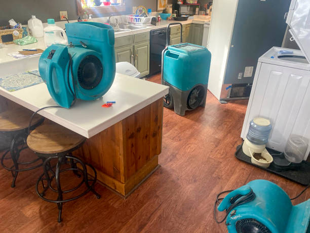 Best Water damage restoration mold remediation  in Beresford, SD