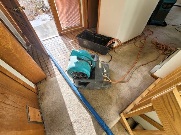 Carpet water damage restoration in Beresford, SD