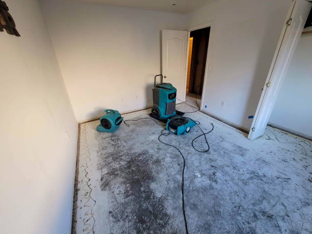 Best Water damage repair service  in Beresford, SD