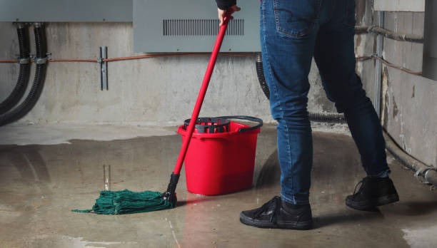 Reliable Beresford, SD Water damage restoration Solutions