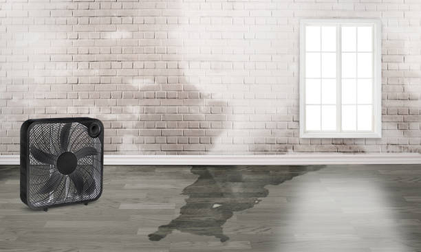 Best Local water damage restoration  in Beresford, SD