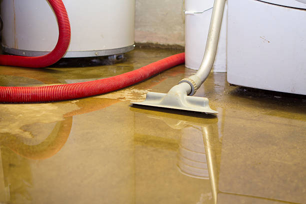 Best Water damage restoration insurance claims  in Beresford, SD