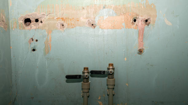 Best Local water damage restoration  in Beresford, SD