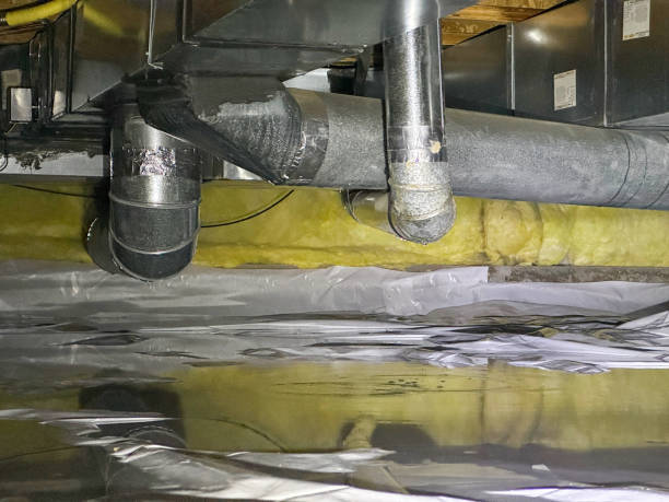 Best Professional water damage repair  in Beresford, SD