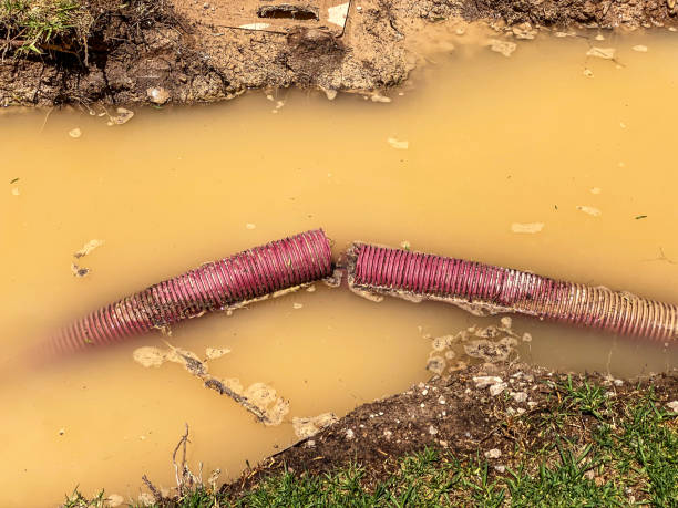 Best Emergency water damage restoration  in Beresford, SD