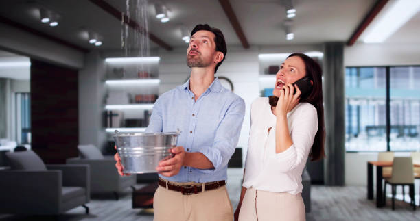 Best Flood restoration services  in Beresford, SD